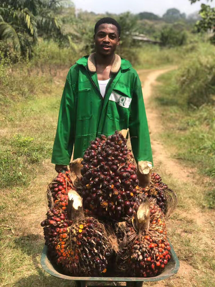 Agro-industry