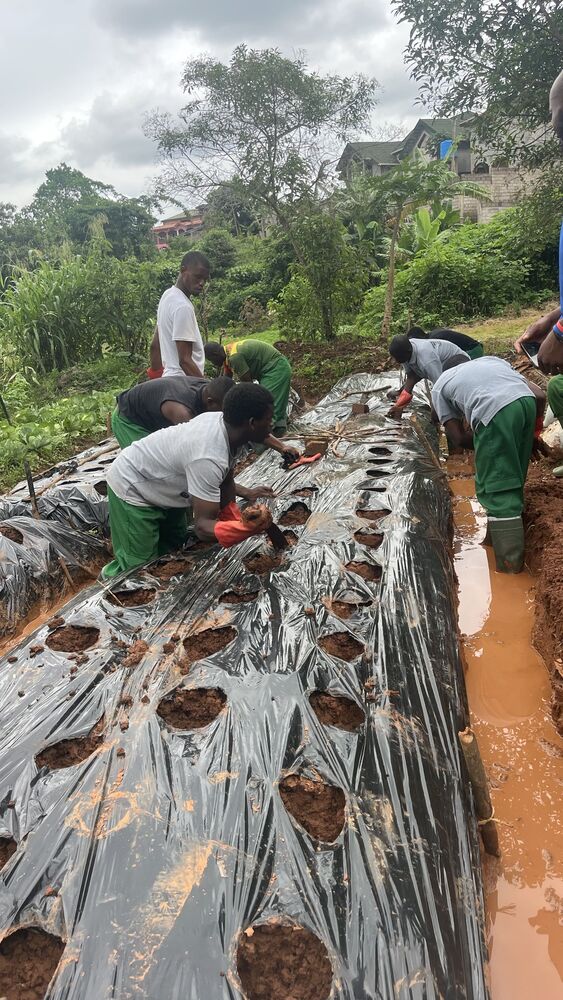 Forest Management