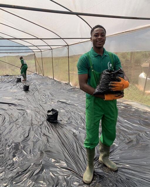 Greenhouse work