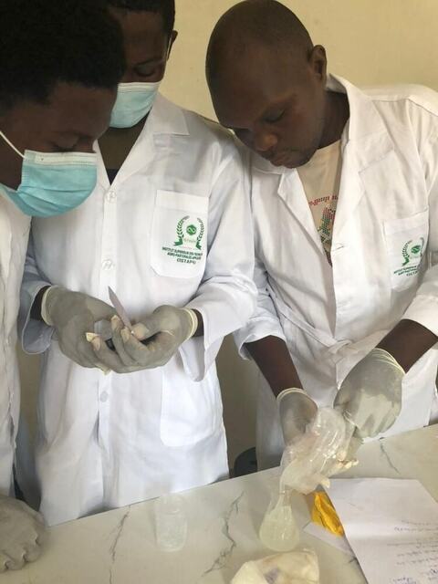 Laboratory work