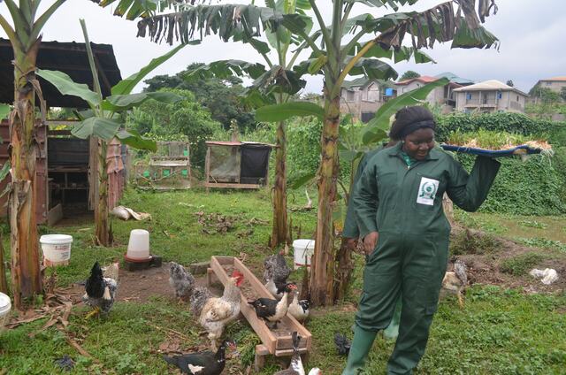 Teaching farm