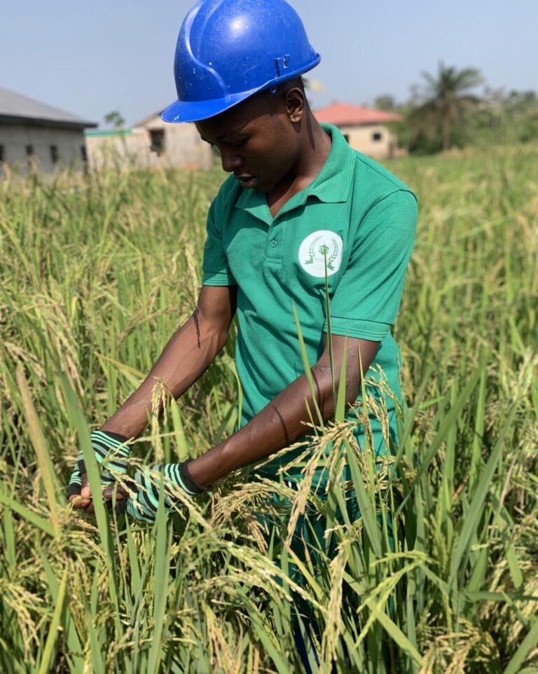 475105121_122156457968331499_8259807869563249512_n(1)