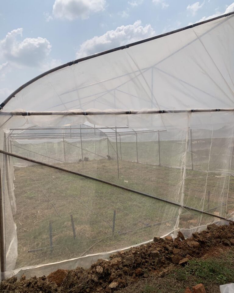 475430097_122157185576331499_8893809519727743113_n