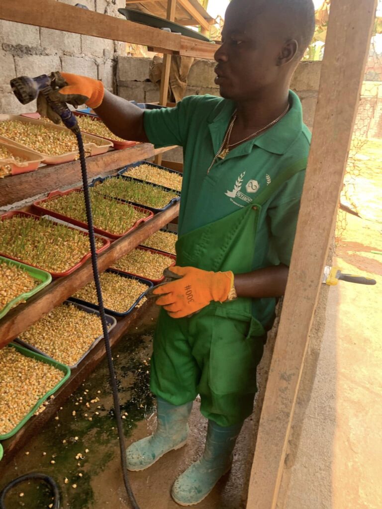 476481761_122157457760331499_2986084636074042379_n