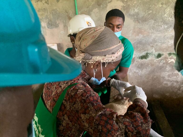 WhatsApp Image 2025-07-01 at 16.29