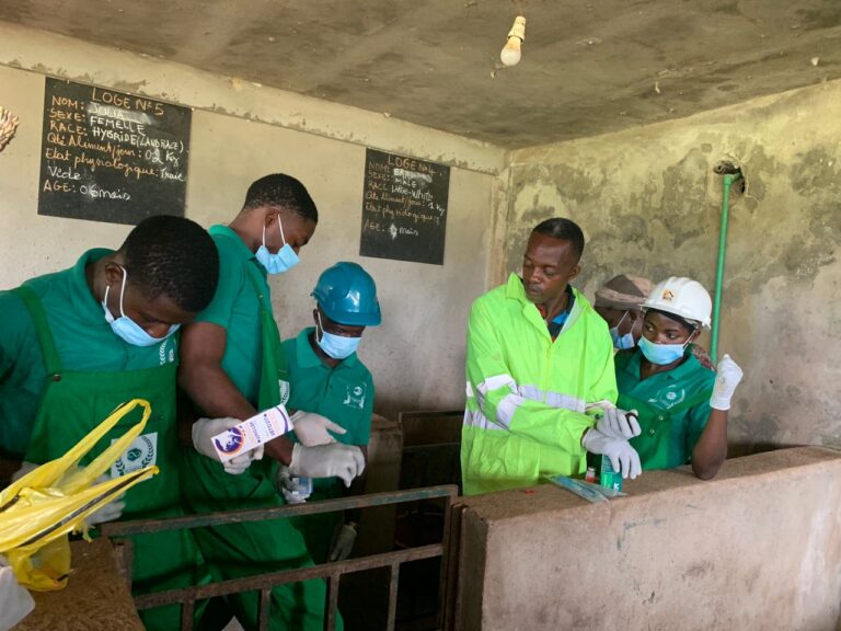 WhatsApp Image 2025-07-01 at 16.30