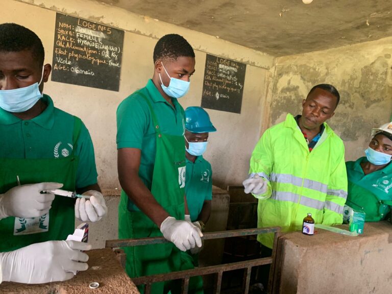 WhatsApp Image 2025-07-01 at 16.30