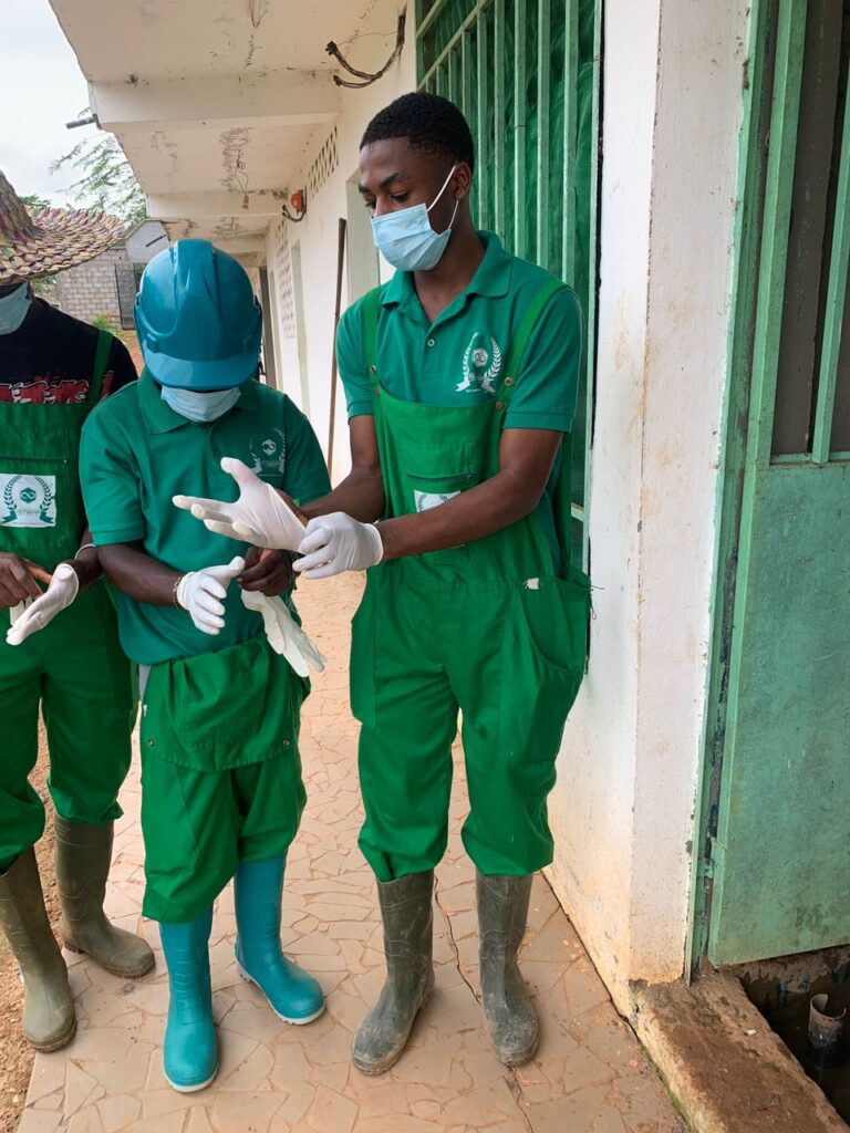 WhatsApp Image 2025-07-01 at 16.30